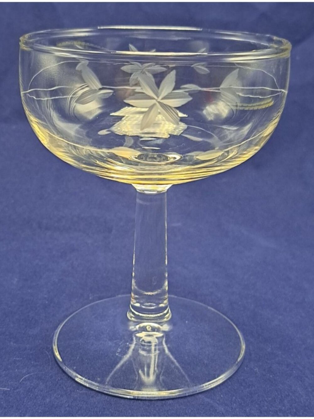 Vintage Etched Glass Javit Starflower Low Sherbet Champagne Coupe